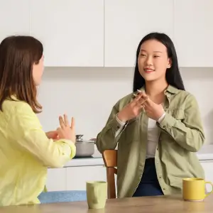 Técnico em Tradução e Interpretação de Libras