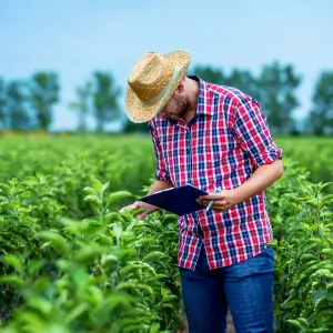 Técnico em Agricultura