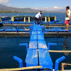 Técnico em Aquicultura